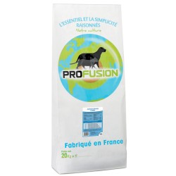 Junior Grand Chien 20kg